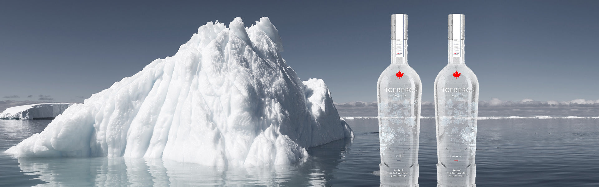 Iceberg